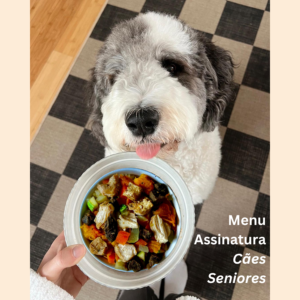 Menu Assinatura | Cães Seniores
